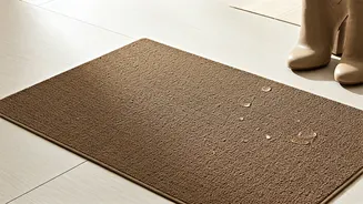 Diatomaceous Earth Entryway Mats Top Viral Home Lists Now