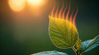 Beat the Heat: Preventing Heatstroke Even Without Extreme Temperatures