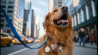 City Living Adds Boarding, Walking And Mobility Costs To Pet Care