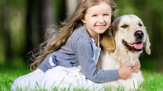 Pet Owners Can Reduce Monsoon Infection Risks With Better Outdoor Habits