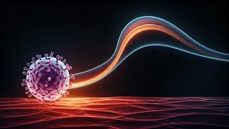 Understanding Infection, Hospitalization, and Recovery: A Comprehensive Guide