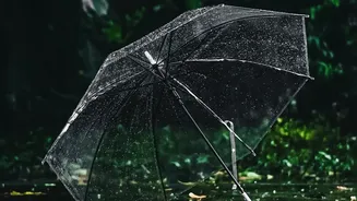 Goa In The Rain Offers A Slower And More Relaxing Holiday Experience