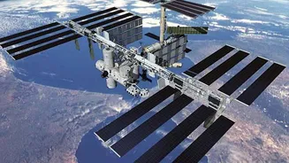 Sementes serão enviadas ao espaço em estudo sobre produção de alimentos em ambientes extraterrestres