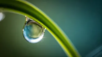 Rupert Spira's Wisdom: Discovering Your Unchanging Self Through Awareness