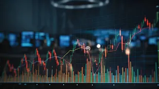 IPO Market: GMP and Stock Moves Examined