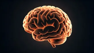 Vitamin D & Anxiety: Unveiling the Link