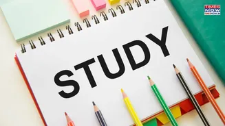 Board Exams 2026: Study Tricks and Habits to Overcome Stress