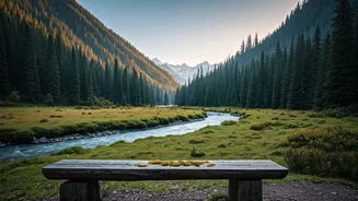 Tirthan Valley Is The Slow Honeymoon India Needs