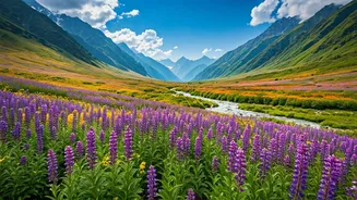 Peak Bloom Expected Mid-July Across Valley Of Flowers Uttarakhand