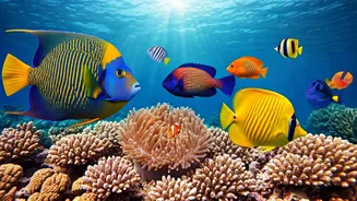 7 Vibrant Ocean Fish: Beauty Beneath Waves