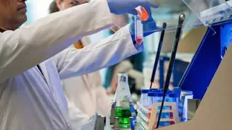 Texas A&M nasal spray may slow or reverse brain aging