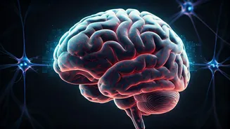 AI's Cognitive Toll: New Study Uncovers Potential Brain Impact