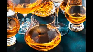 These 6 Bengaluru Cocktail Spots Made It To India’s 30 Best Bars In 2025, Is Your Favourite On The List?