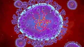 Scientists use AI to create viruses never seen in nature
