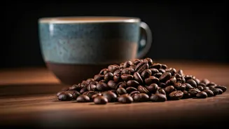 Libertario Coffee: Elevating India's Specialty Coffee Scene with Global Expertise