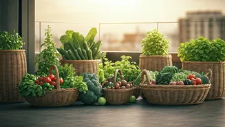 How The Terrace Gardening Revolution Sparked Absolute Self Sufficiency Now