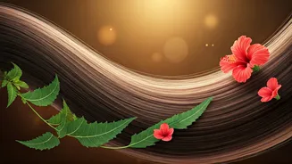 Indian Hair Care Is Getting More Targeted Now
