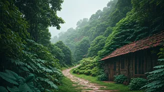 Affordable Honeymoon Spots Perfect For India's Monsoon