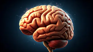 The Brain Drain: How Suppressing Emotions Impacts Memory and Well-being