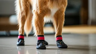 Monsoon Pet Care Is The Responsible Flex