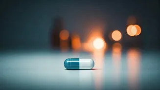 New Drug LOY-002: A Glimmer of Hope for Longer, Healthier Lives for Senior Dogs