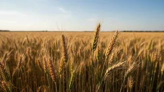 The Latest Kisan Credit Card Assessment: The Evidence Behind Measuring Credit Outcomes