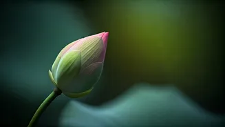 Samantha Ruth Prabhu's Skincare Philosophy: Less Is More for Radiant Skin