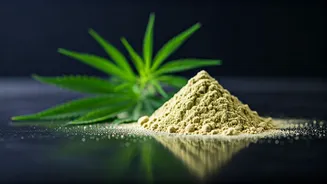 Hemp Protein Power: Benefits & Uses
