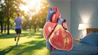 Sleep Boosts Heart Health and Exercise Gains