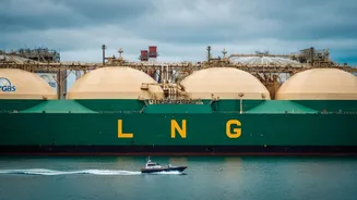 Qatar's LNG exports are down 96%. Reason? US-Iran war