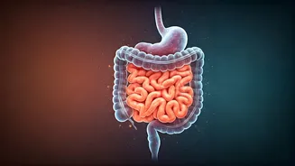 Gut Health Makes Traditional Food Feel Modern