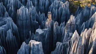Ankarana Tsingy: The fascinating caves of Madagascar