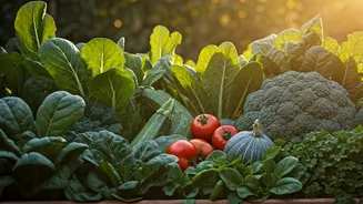These Vegetables Thrive With Minimal Care