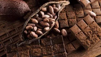 Cocoa husks: A superfood for heart health