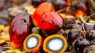 Score wonderful skin with red palm fruit