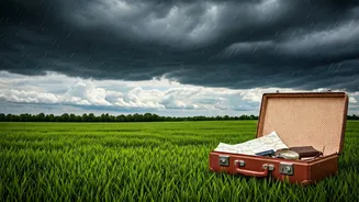 Rainfall Decides Whether Trips Actually Work