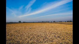 El Niño Intensifies Ecological Stress Amid Post-Monsoon Dry Conditions in India