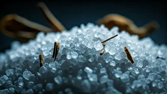 The Salt And Tea Warning: Microplastics Hit Indian Homes