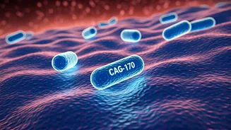 Related Stories banner