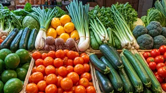Vegetarian Travelers: Explore These 7 Hotspots
