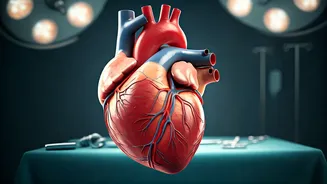 Heart Health in Focus: Cardiac Arrest Insights & Prevention