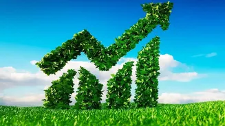 The New Sugar Stock Limit Gives Households a New Reason to Review Retail Price Tracking