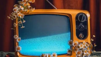 Why Younger Audiences Are Finding Older Bollywood Films Through Online Recommendations