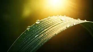 7 Radiant Summer Skincare Secrets for Indian Summers: Beat Heat, Tanning & Dehydration!