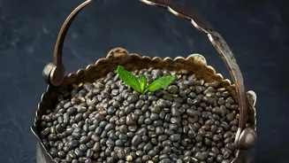 A Mix Of Dals Can Add More Variety To Everyday Protein