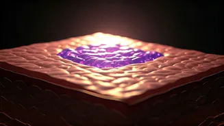 Related Stories banner