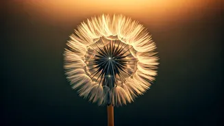 Related Stories banner