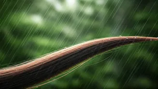Why Your Hair Falls More During Monsoon
