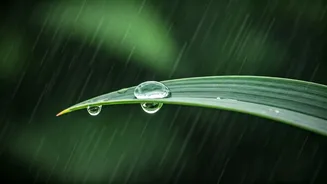 The Hidden Link Between Monsoon And Acne Flare-Ups