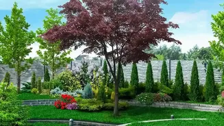 Understanding Water-Smart Garden Design In The Low-Water Gardening Shift